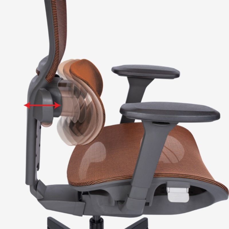 Ghế văn phòng công thái học