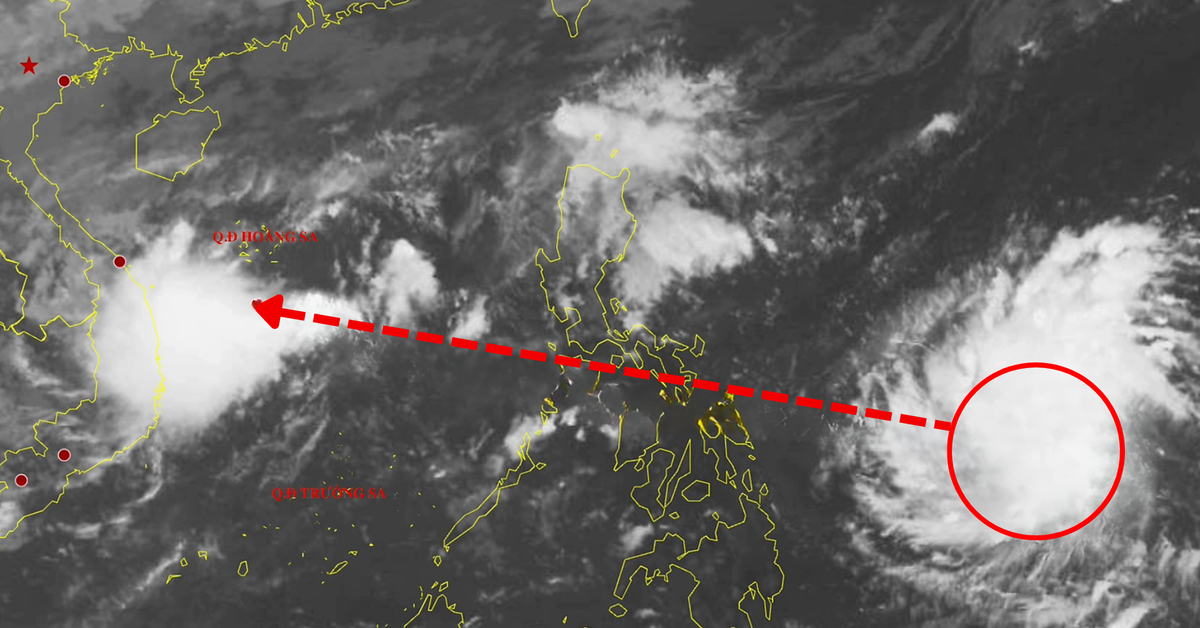 Tin Bão Số 13 Kalmaegi