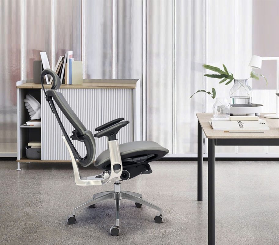 Ghế Công Thái Học Win Chair