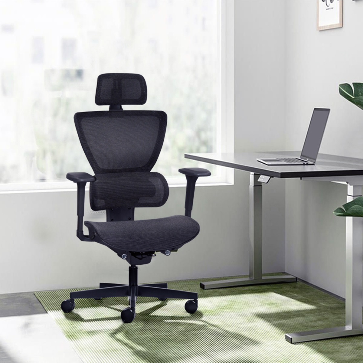 Ghế Văn Phòng Công Thái Học